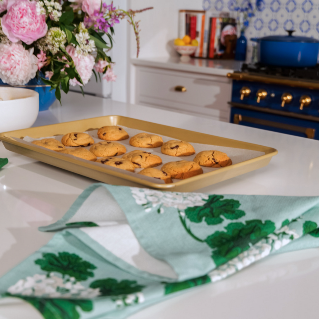 Aqua Dishtowel Set