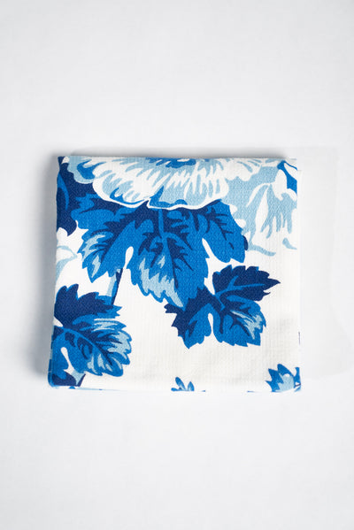 Nancy Dishtowel